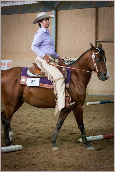 mp-stables 20130921 083