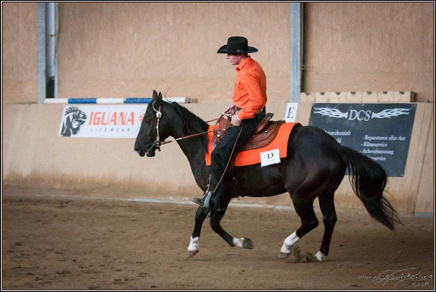mp-stables 20130921 092