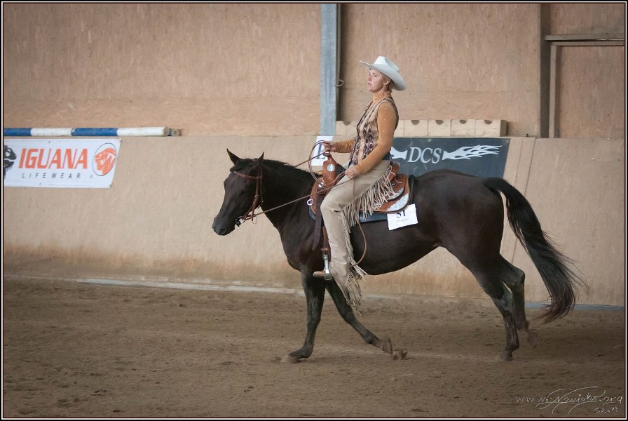 mp-stables 20130921 094
