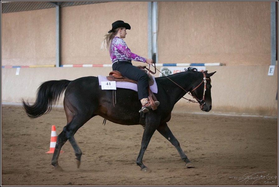 mp-stables 20130921 095