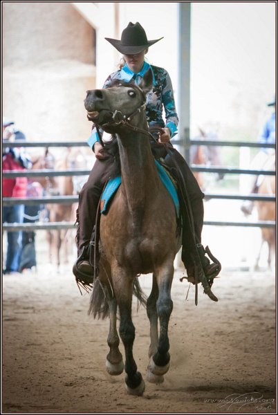 mp-stables 20130921 104