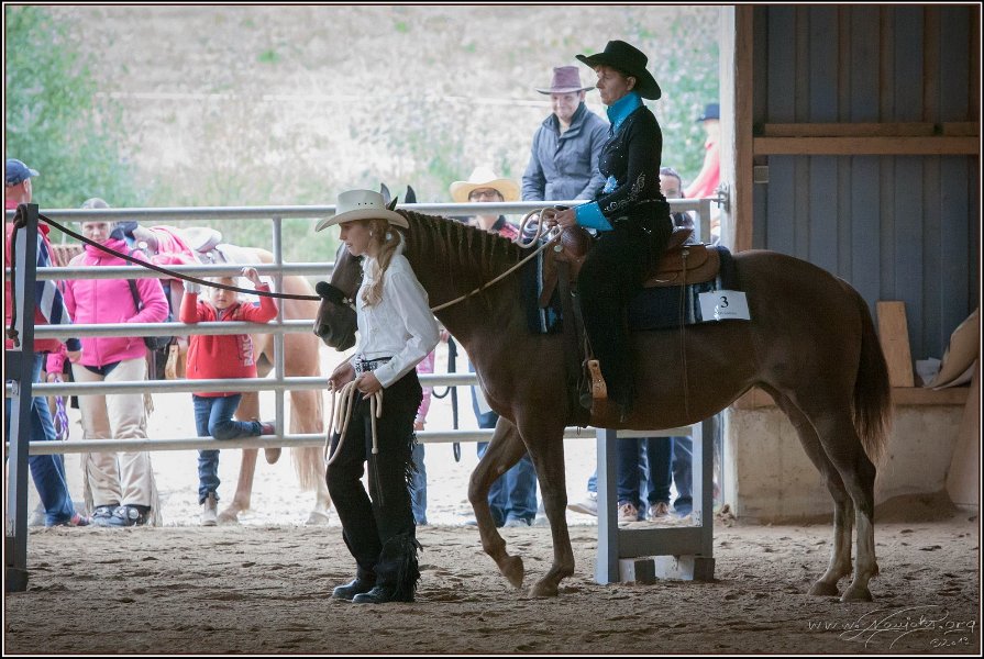 mp-stables 20130921 111