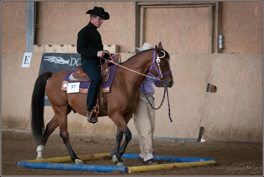 mp-stables 20130921 121