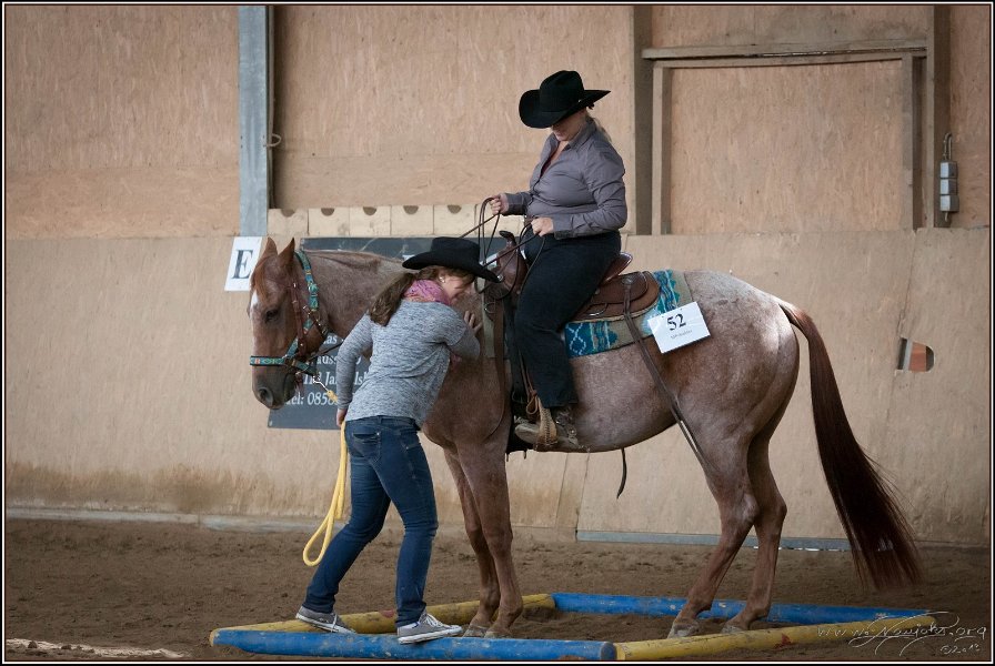 mp-stables 20130921 123