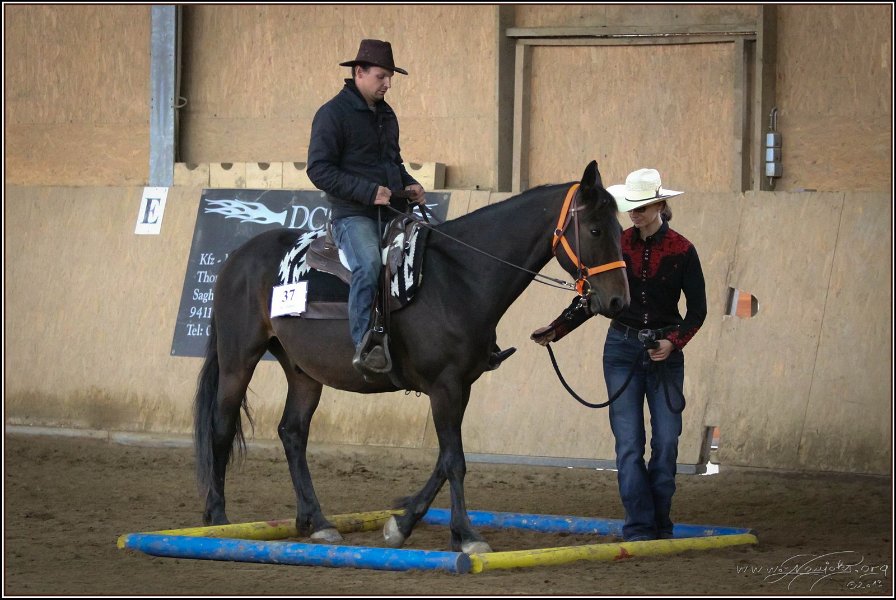 mp-stables 20130921 129