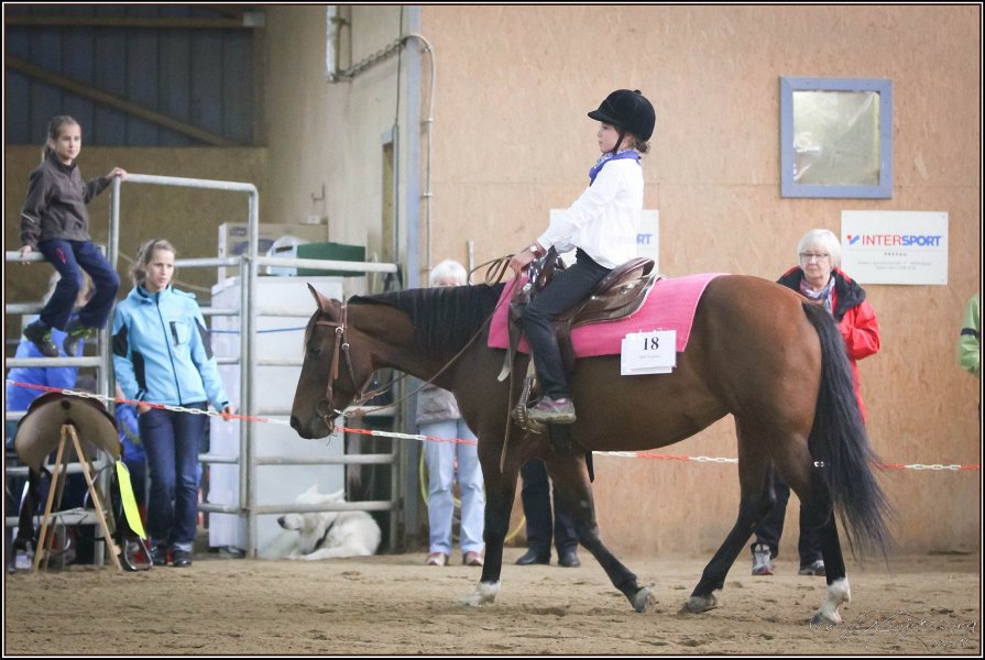 mp-stables 20130921 134
