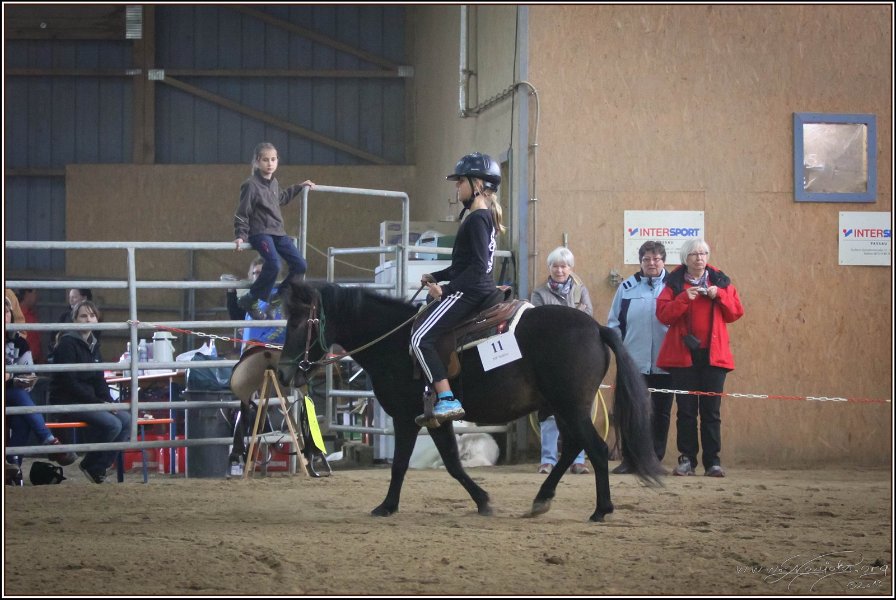 mp-stables 20130921 135