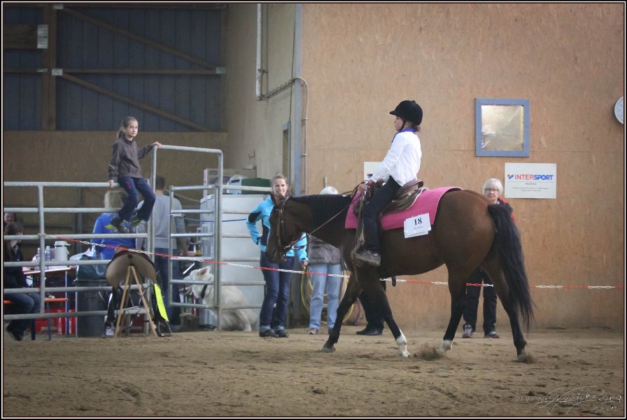 mp-stables 20130921 136