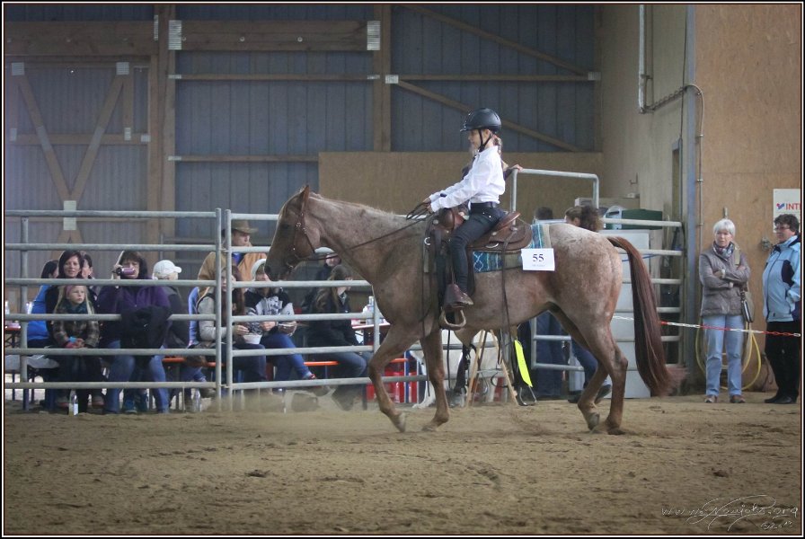 mp-stables 20130921 137