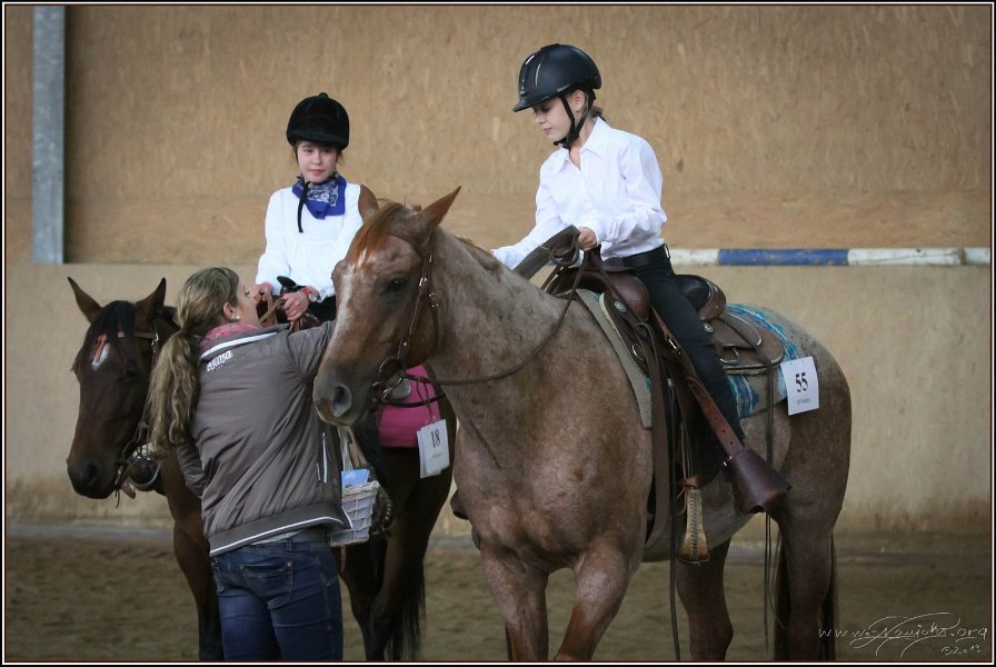 mp-stables 20130921 138
