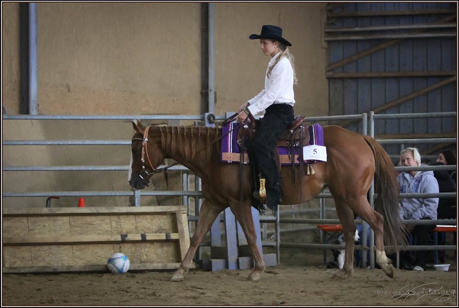 mp-stables 20130921 143