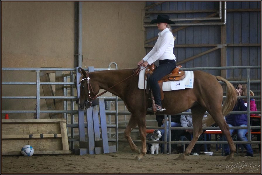 mp-stables 20130921 144