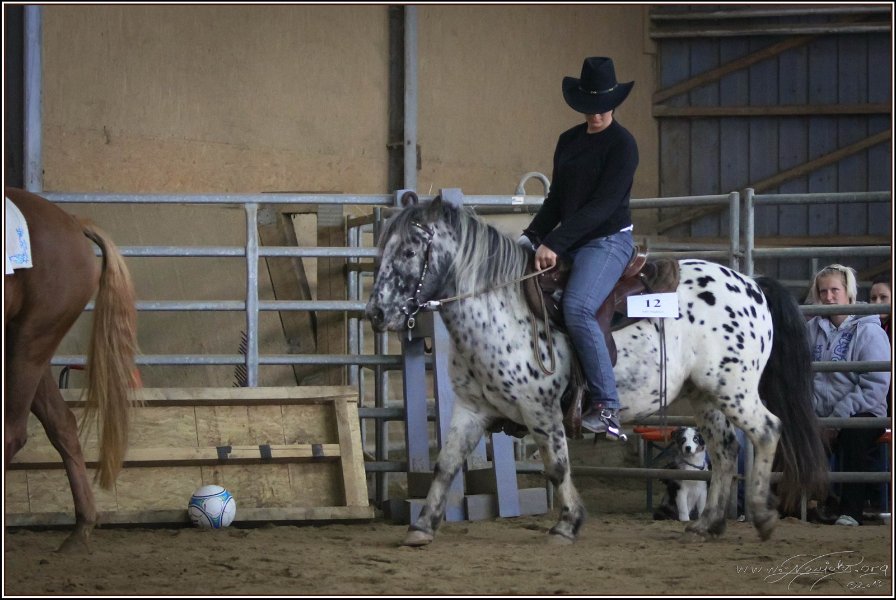 mp-stables 20130921 145
