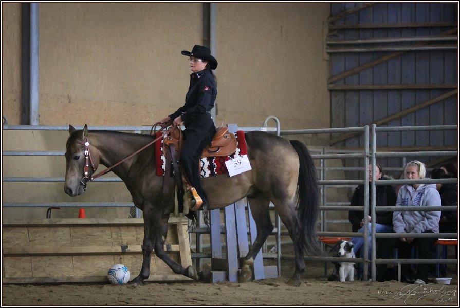 mp-stables 20130921 146
