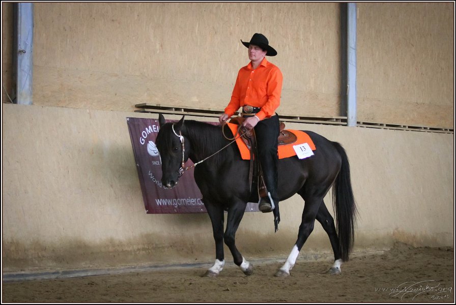 mp-stables 20130921 154