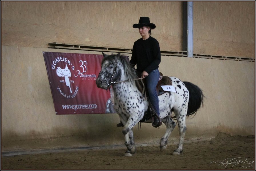 mp-stables 20130921 155