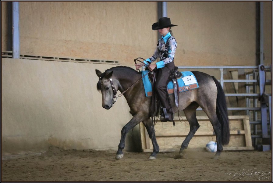 mp-stables 20130921 156