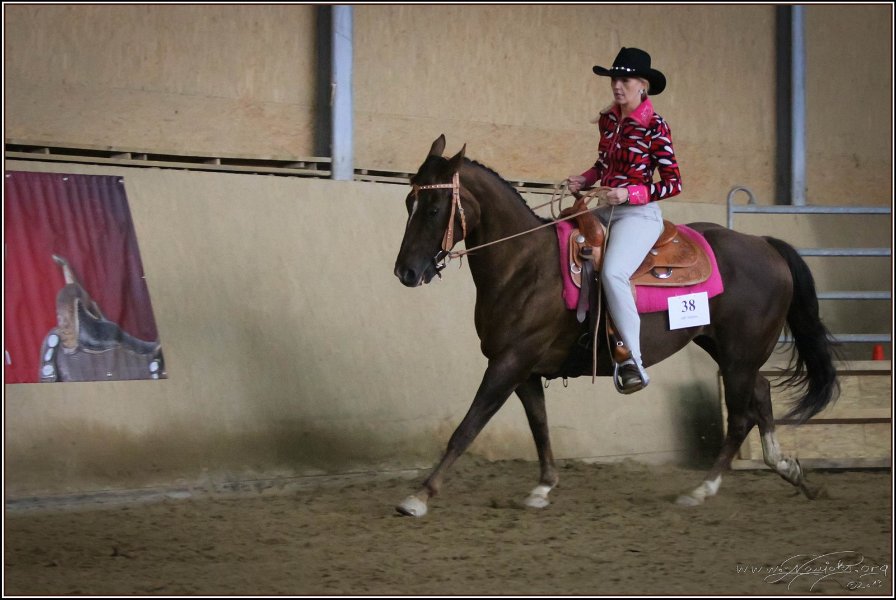 mp-stables 20130921 157