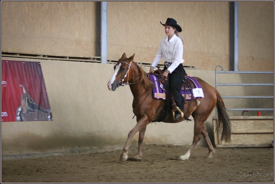 mp-stables 20130921 158