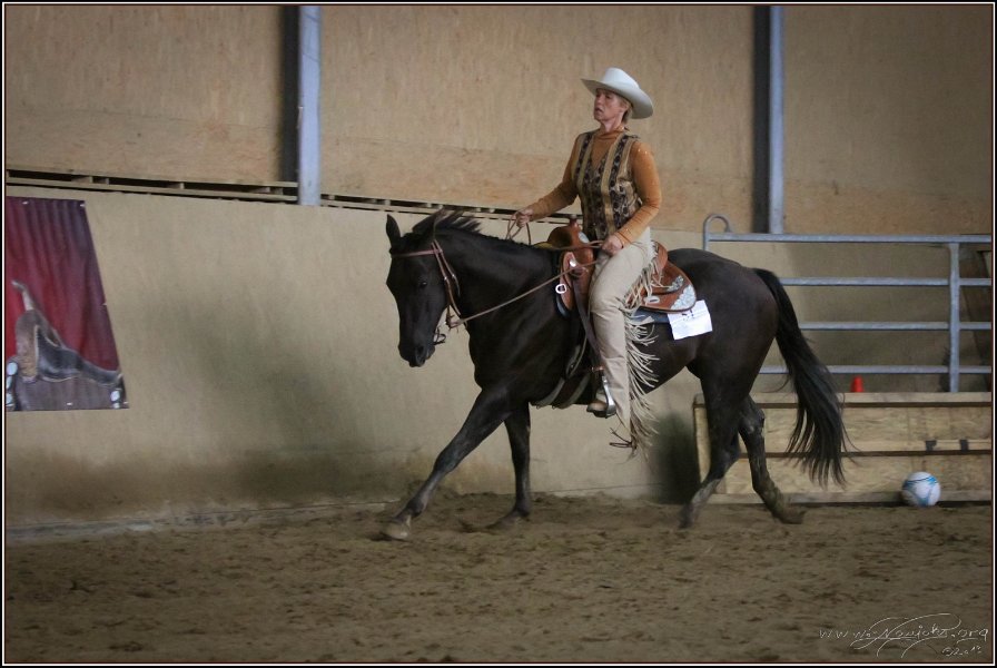 mp-stables 20130921 160