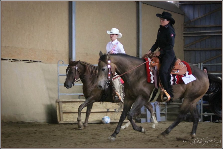 mp-stables 20130921 161