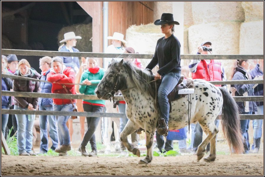 mp-stables 20130921 163