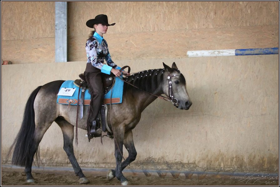 mp-stables 20130921 164