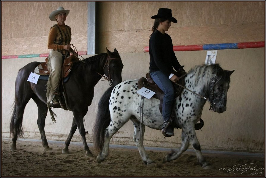 mp-stables 20130921 166