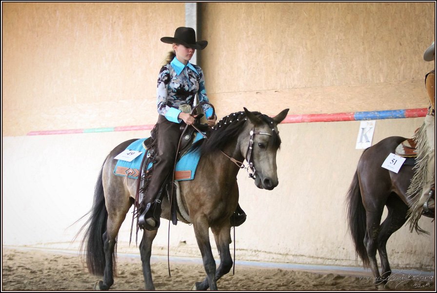 mp-stables 20130921 167