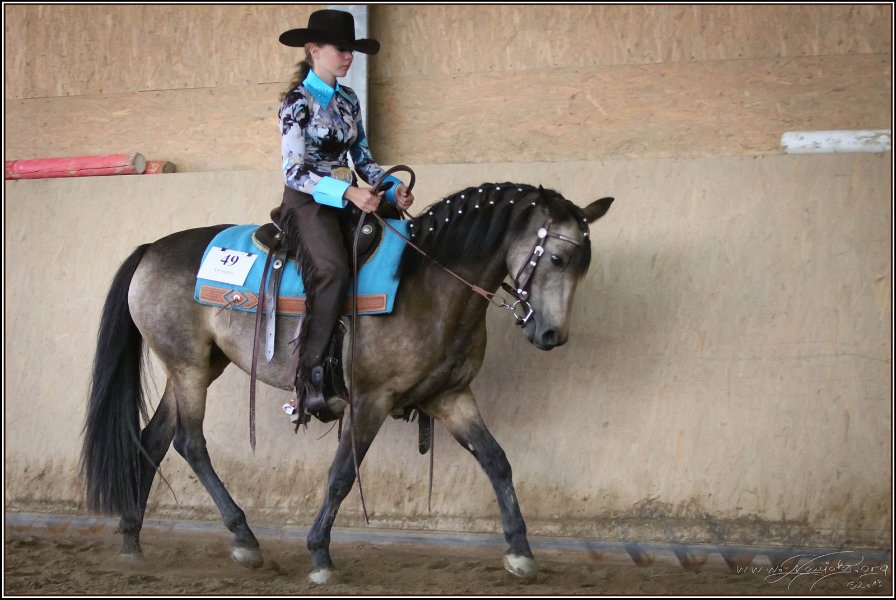 mp-stables 20130921 168