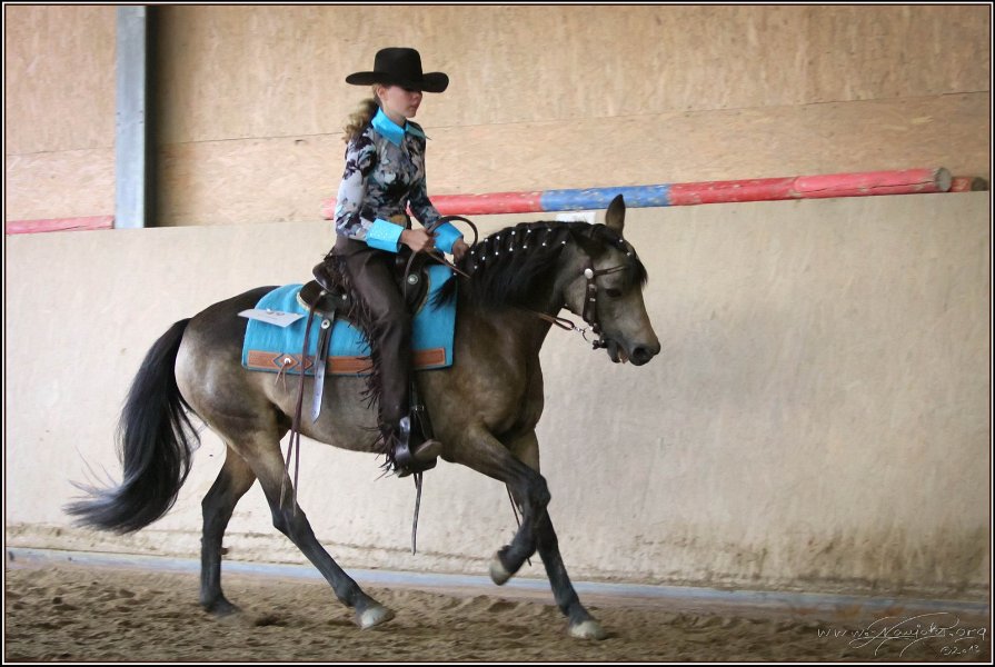 mp-stables 20130921 170
