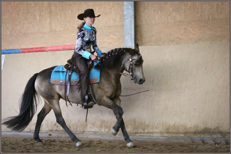 mp-stables 20130921 171