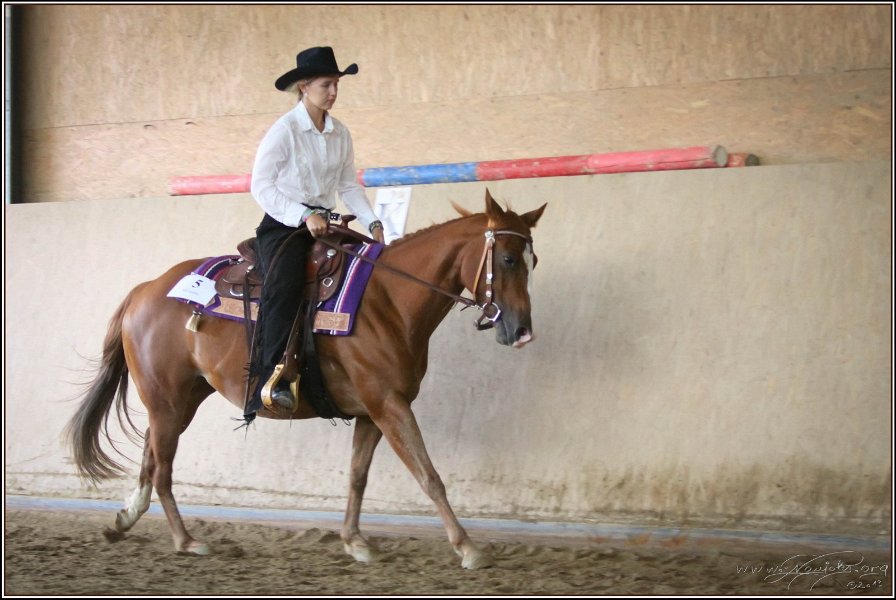 mp-stables 20130921 172