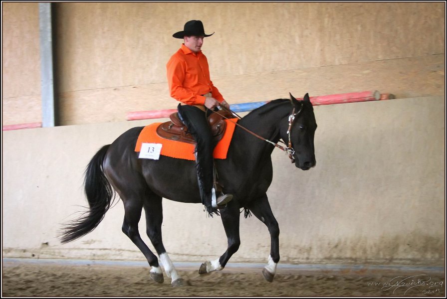 mp-stables 20130921 173