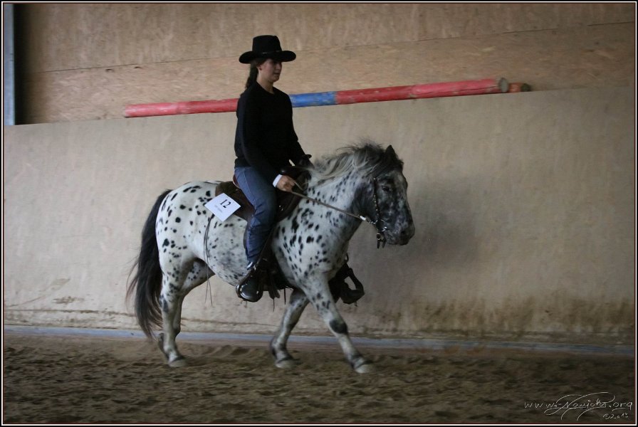 mp-stables 20130921 175