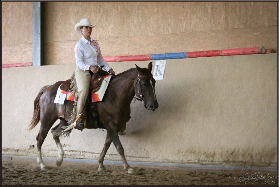 mp-stables 20130921 177