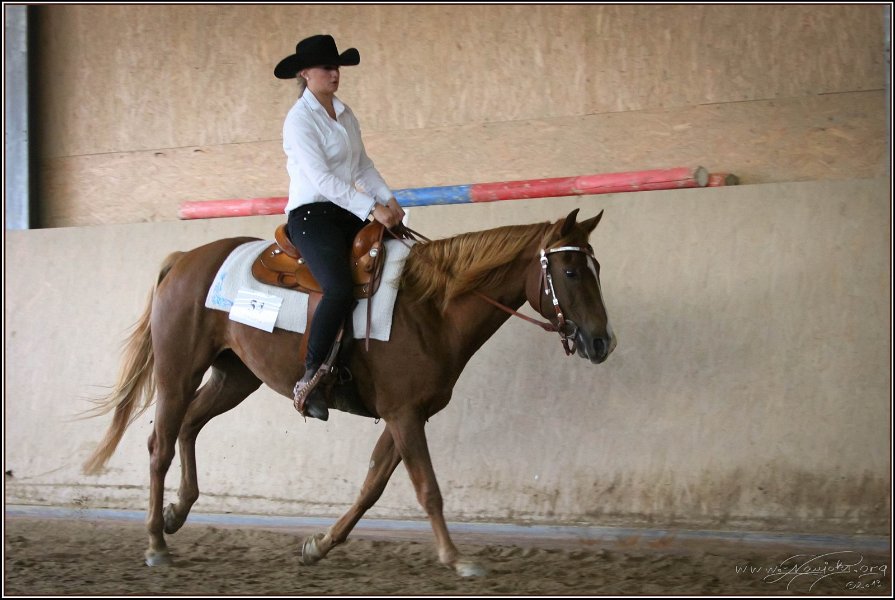 mp-stables 20130921 178