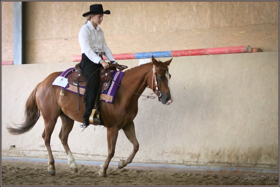 mp-stables 20130921 179