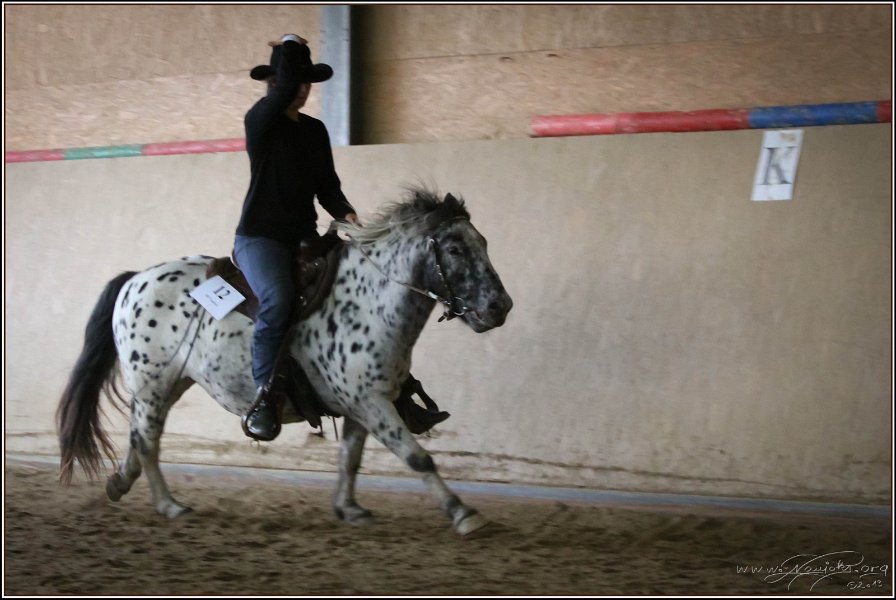 mp-stables 20130921 180