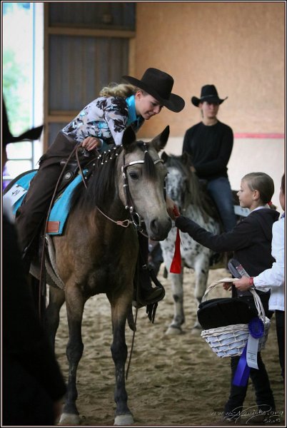 mp-stables 20130921 185