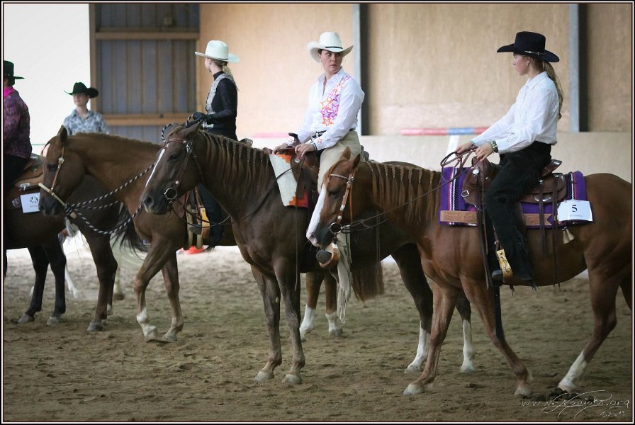 mp-stables 20130921 199