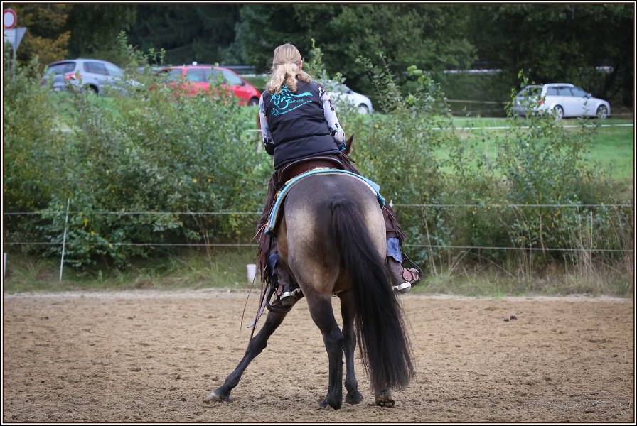 mp-stables 20130921 204