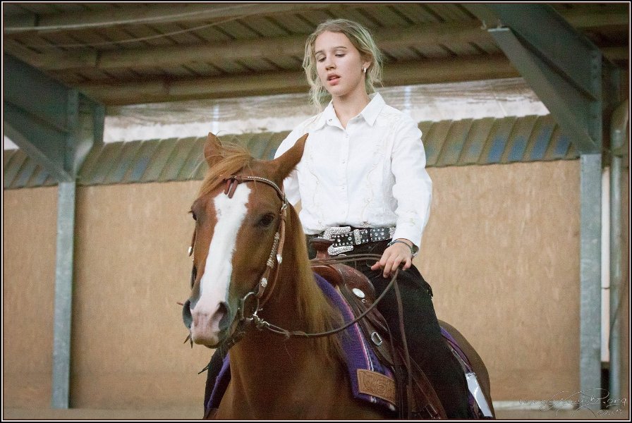 mp-stables 20130921 207