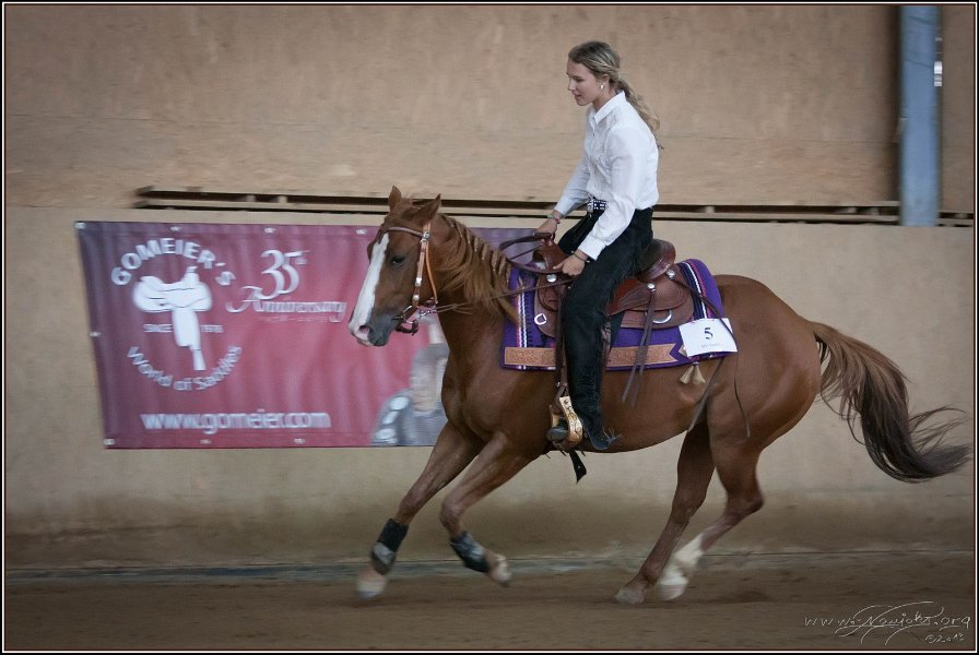 mp-stables 20130921 208