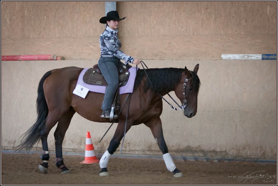 mp-stables 20130921 209