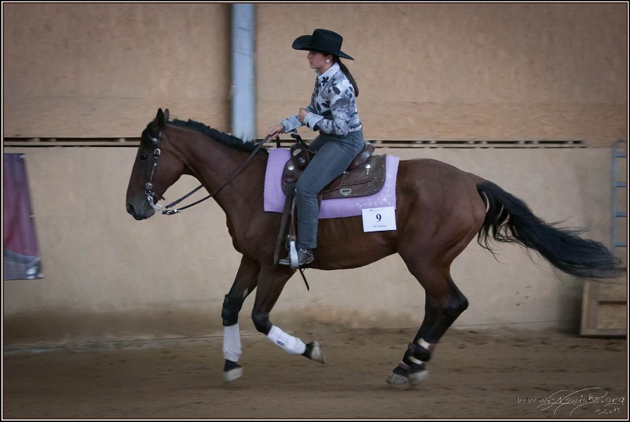 mp-stables 20130921 210