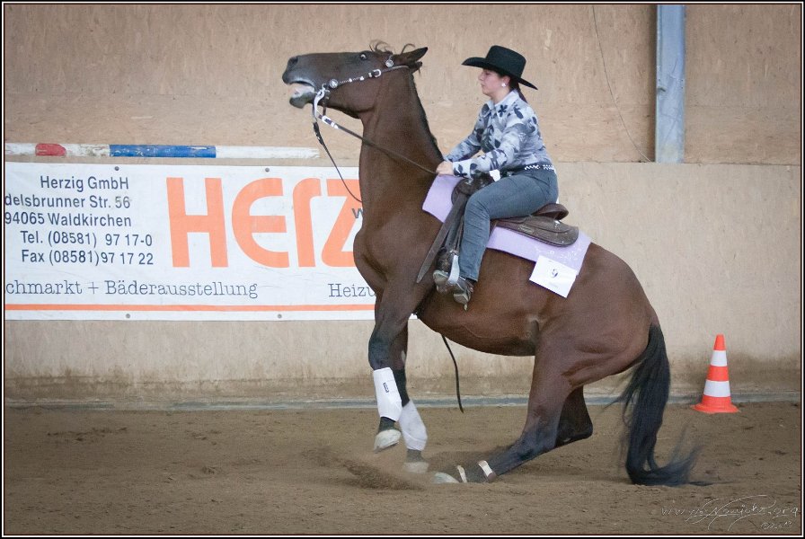 mp-stables 20130921 212