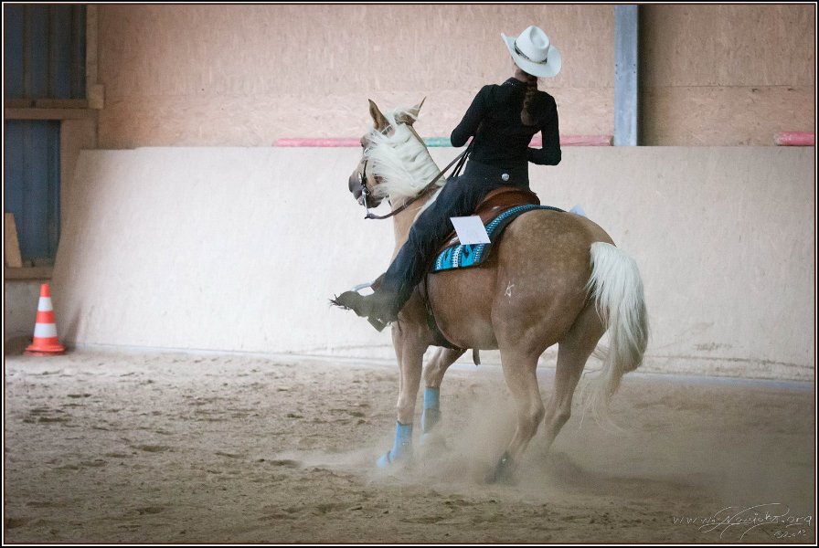 mp-stables 20130921 215