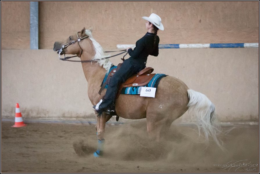 mp-stables 20130921 216
