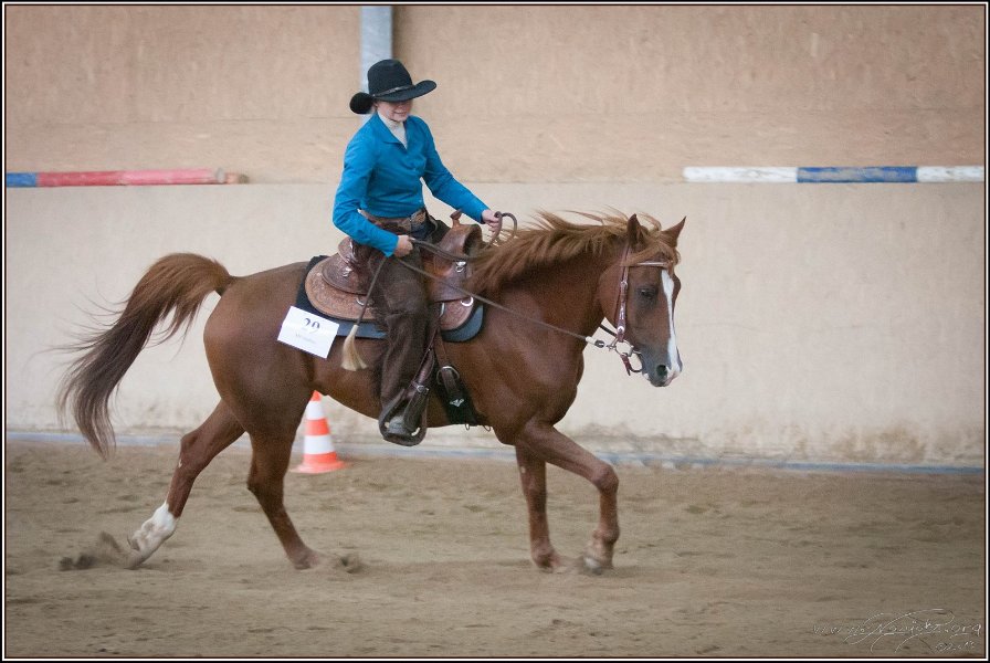 mp-stables 20130921 220